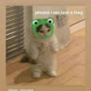 Meet your Posher, Isabella